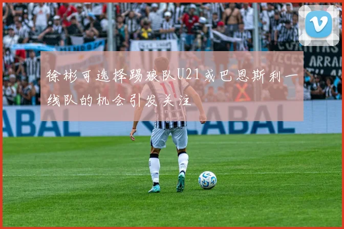徐彬可选择踢狼队U21或巴恩斯利一线队的机会引发关注