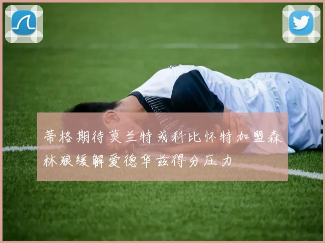 蒂格期待莫兰特或科比怀特加盟森林狼缓解爱德华兹得分压力