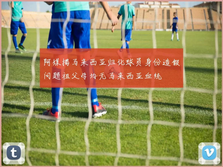 阿媒揭马来西亚归化球员身份造假问题祖父母均无马来西亚血统