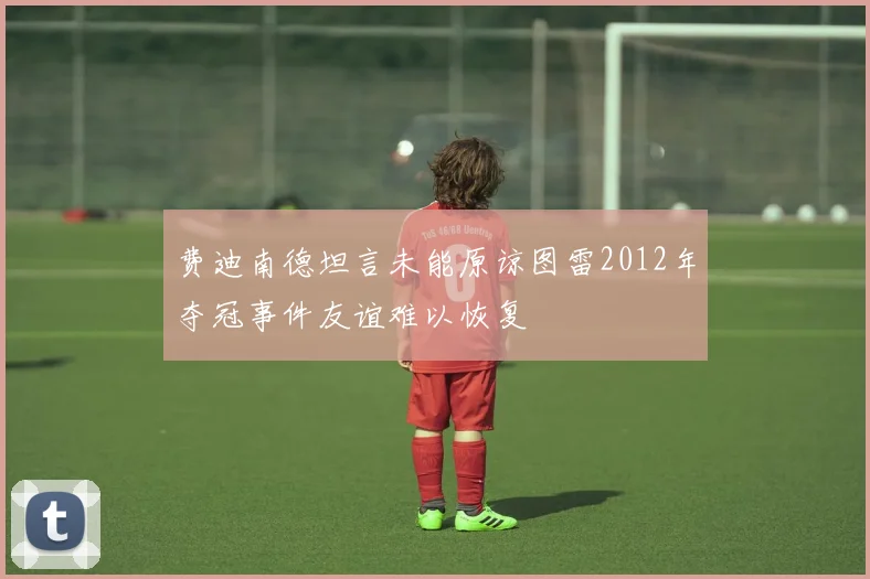 费迪南德坦言未能原谅图雷2012年夺冠事件友谊难以恢复