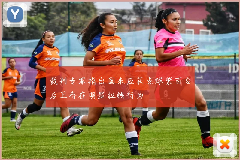 裁判专家指出国米应获点球紫百合后卫存在明显拉拽行为