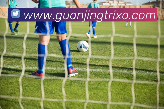 冠竞体育平台生态图